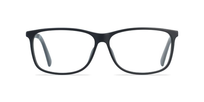Denso traición Tina Just Cavalli glasses, eyeglasses, sunglasses | Glasses Gallery